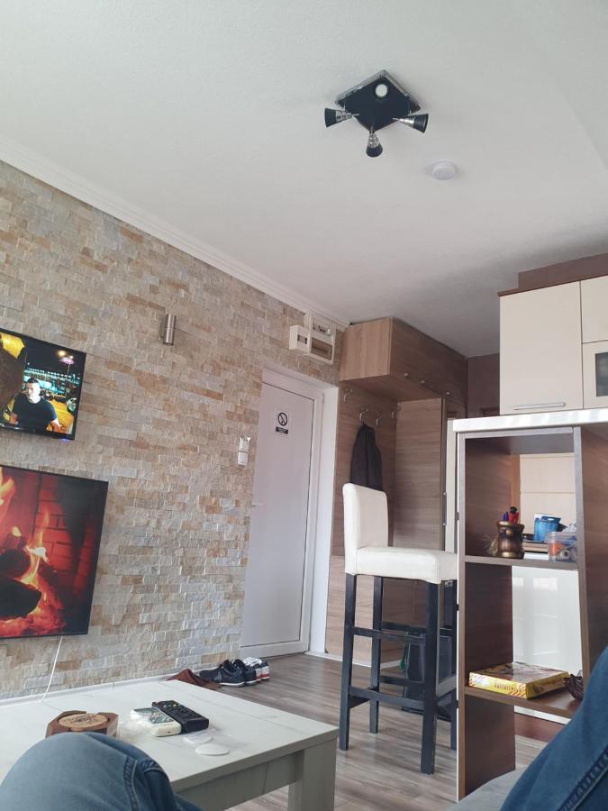 Apartman "Vienna" Сокобаня Экстерьер фото